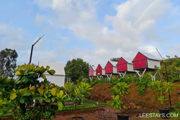 Elevated Glamping Cottages at Pawna lake (P1) - Image 8